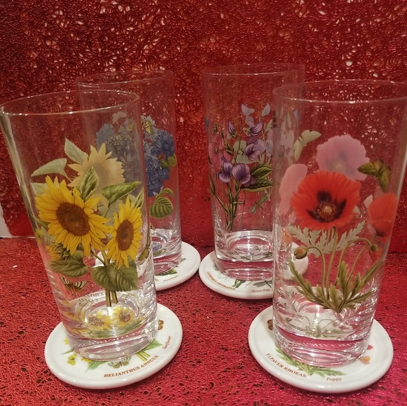 Portmeirion Other - Portmeirion Botanic Garden(4) Glasses (4) Coasters